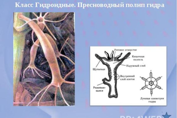 Кракен торговая площадка даркнет